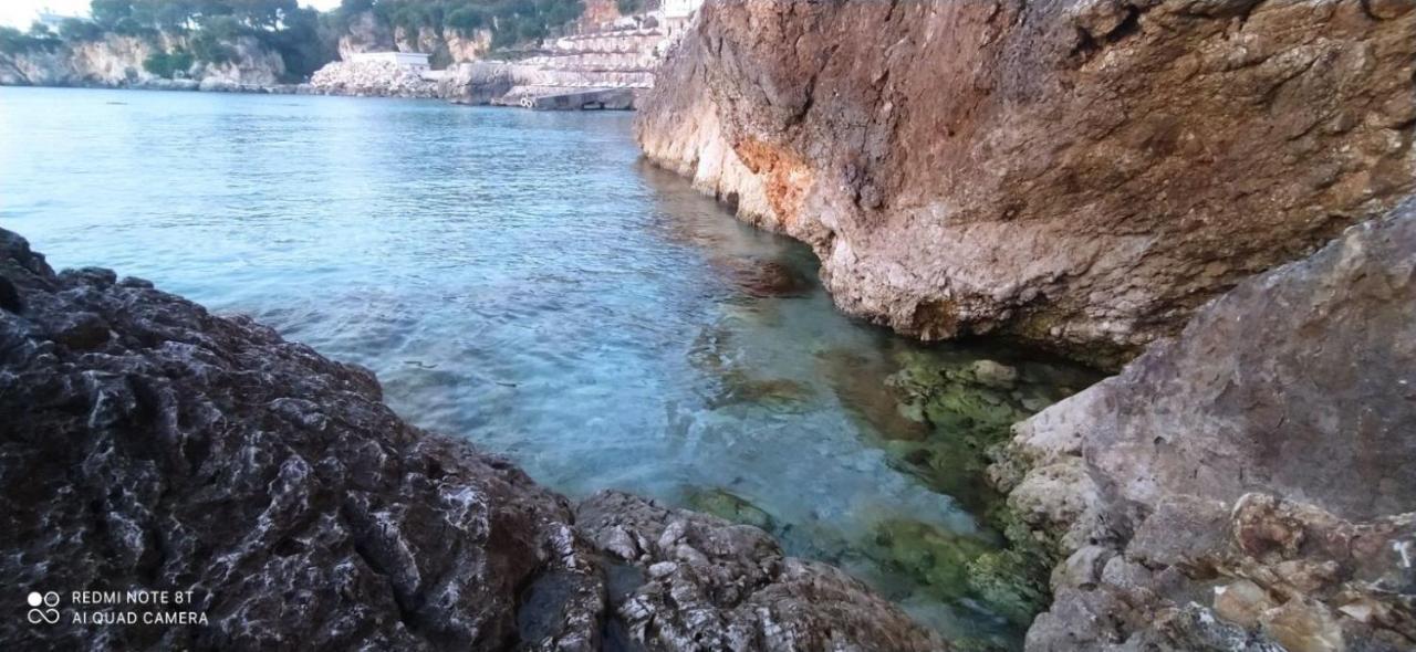 Matthews Beach House Wlora Zewnętrze zdjęcie